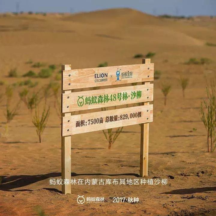 虚拟货币如何助力社会公益事业的透明化与效率提升_虚拟货币如何助力社会公益事业的透明化与效率提升_虚拟货币如何助力社会公益事业的透明化与效率提升