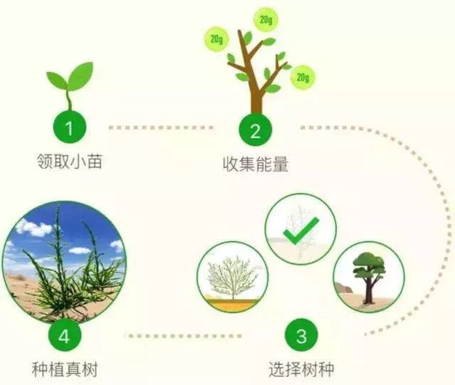 虚拟货币如何助力社会公益事业的透明化与效率提升_虚拟货币如何助力社会公益事业的透明化与效率提升_虚拟货币如何助力社会公益事业的透明化与效率提升