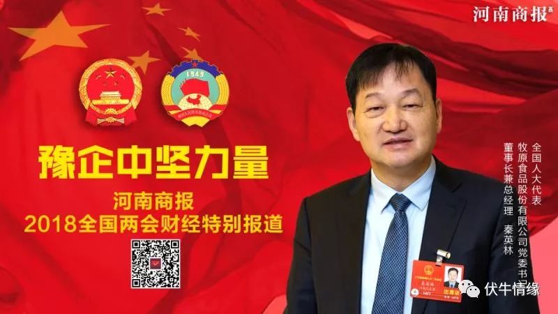 创业模式创新_持续的创业热情_秦英林的创业模式与持续发展