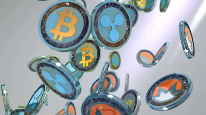 评估币种的投资价值：技术、市场与社区的全面考量_社区评估的意义_社区评估收集资料的内容包括