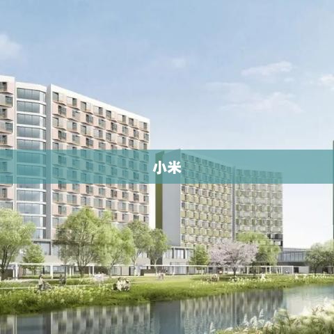 小米，科技与生活魅力融合的力量