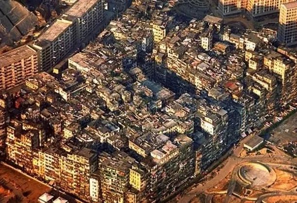 甄子丹知名度_甄子丹出名_甄子丹在华语影坛的历史地位