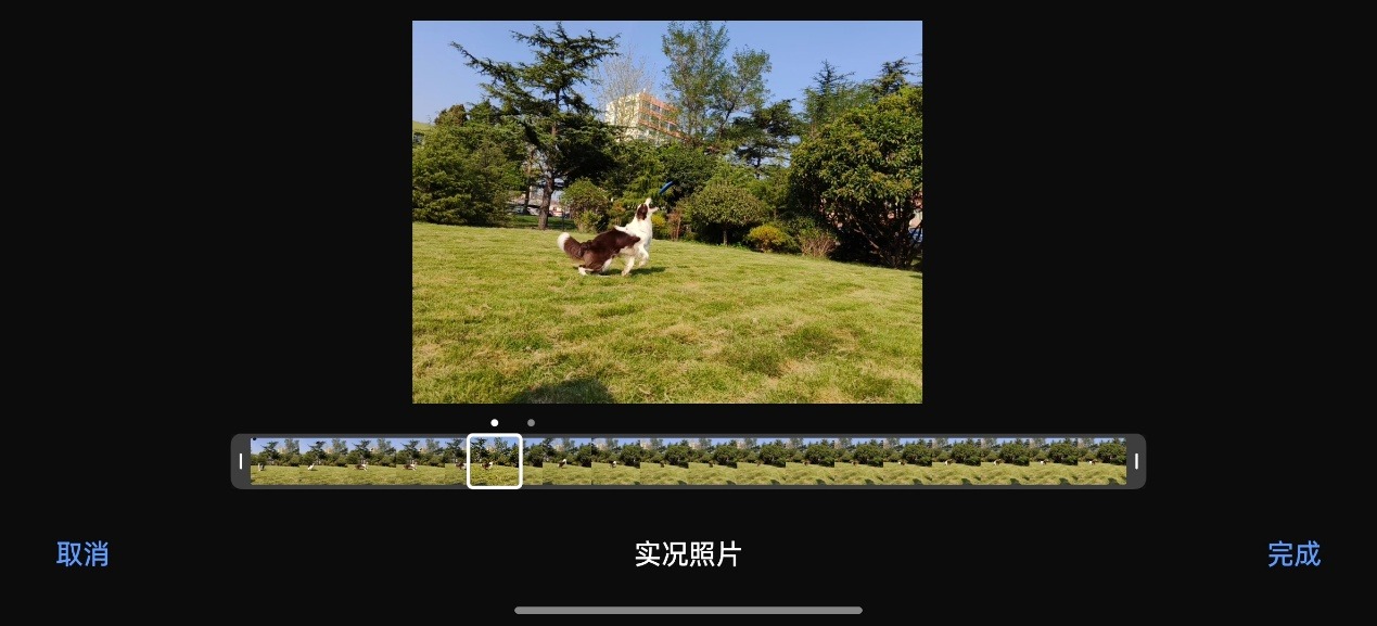 oppo照片编辑器_OPPO手机的照片编辑应用推荐_oppo手机相册编辑功能