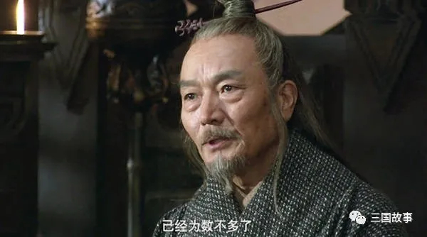 刘备是汉室的后代吗_刘备到底是不是汉室忠心_刘备与汉室的关系