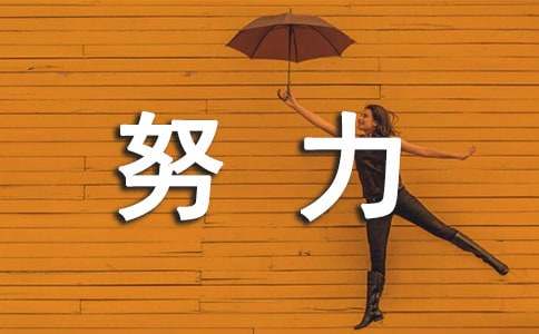 努力奋斗个人心得体会（通用6篇）