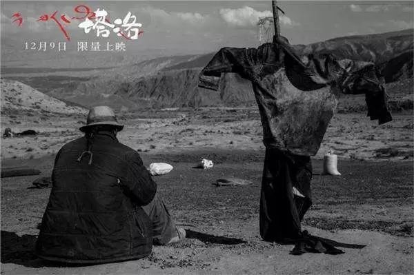 电影视角制片故事人物介绍_四大电影的制片人视角与故事_电影视角制片故事人物是谁