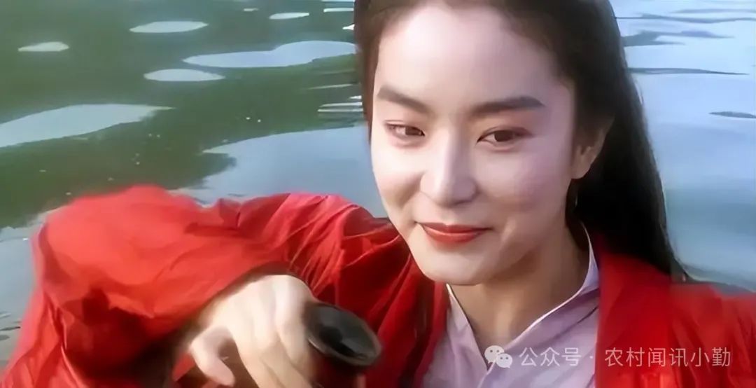 回顾影视经典作品朱琳简介_朱琳主要的影视作品_朱琳与经典影视作品的回顾